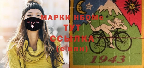 хмурый Алзамай