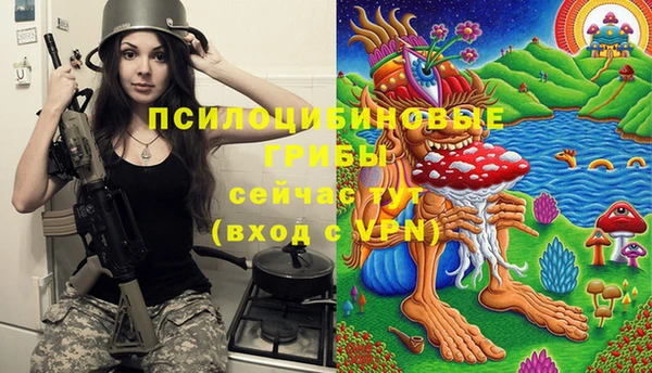 хмурый Алзамай