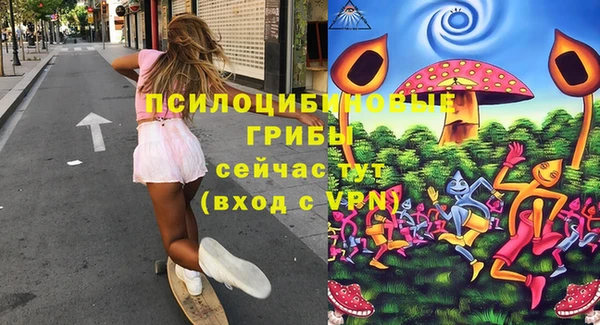 хмурый Алзамай