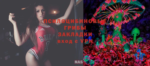 хмурый Алзамай